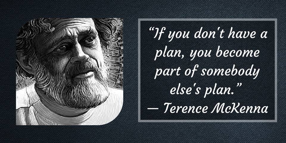 Terence McKenna - You Must Have A Plan
